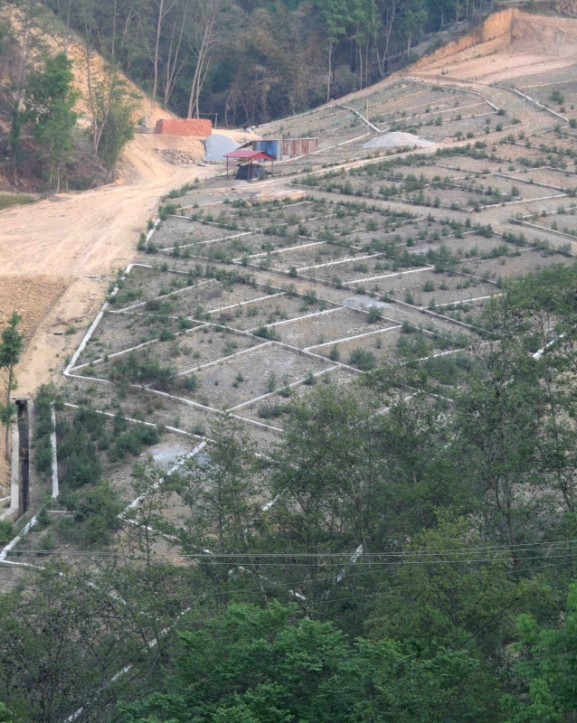 घरजग्गामा रहेको शिथिलता कायमै, राजस्व संकलनमा असर