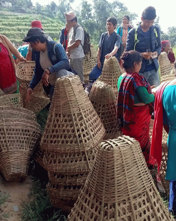 डोका बिक्रीबाट मासिक ४० हजार आम्दानी