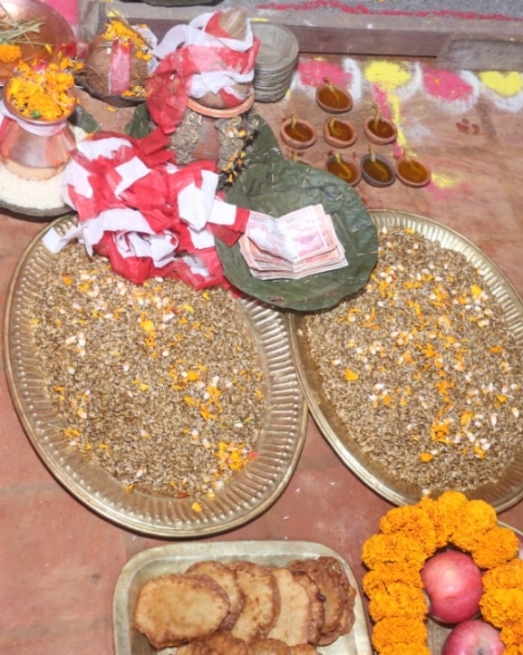 दसैंघरमा राखियो जमरा