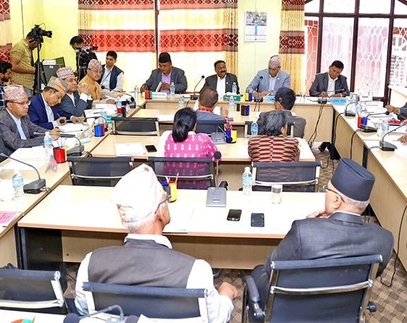 नैतिकताको कसीमा संसदीय समिति