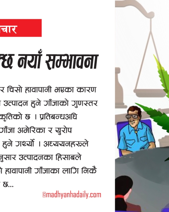 गाँजाले खोल्न सक्छ नयाँ सम्भावना
