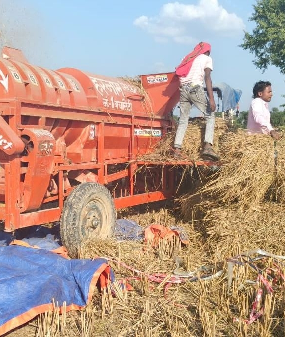 धानको उत्पादन घट्दा मधेशका किसान चिन्तित
