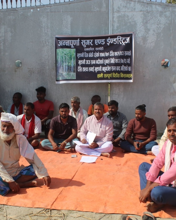 बक्यौता रकम माग गर्दै उखु किसान धर्नामा