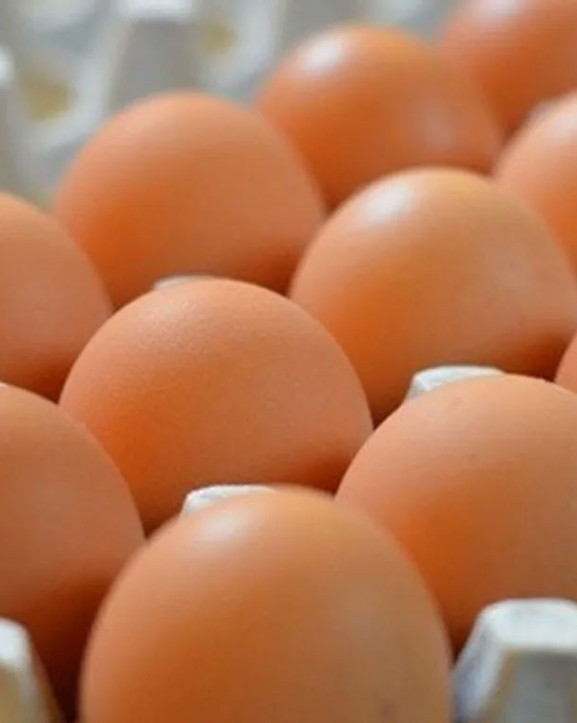 व्यवसायीले बल्ल पाए ‘अण्डा’ को लागत मूल्य, रोकियो अवैध