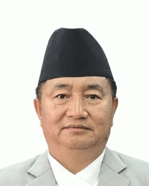 कांग्रेस सहमहामन्त्रीमा बहादुरसिंह लामा विजयी