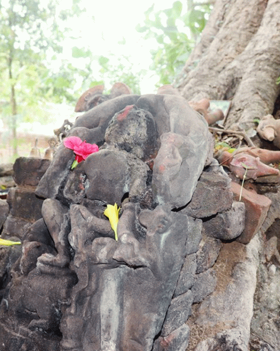 ओझेलमा बुद्धको मावली, मर्चवार नै ऐतिहासिक ‘देवदह’
