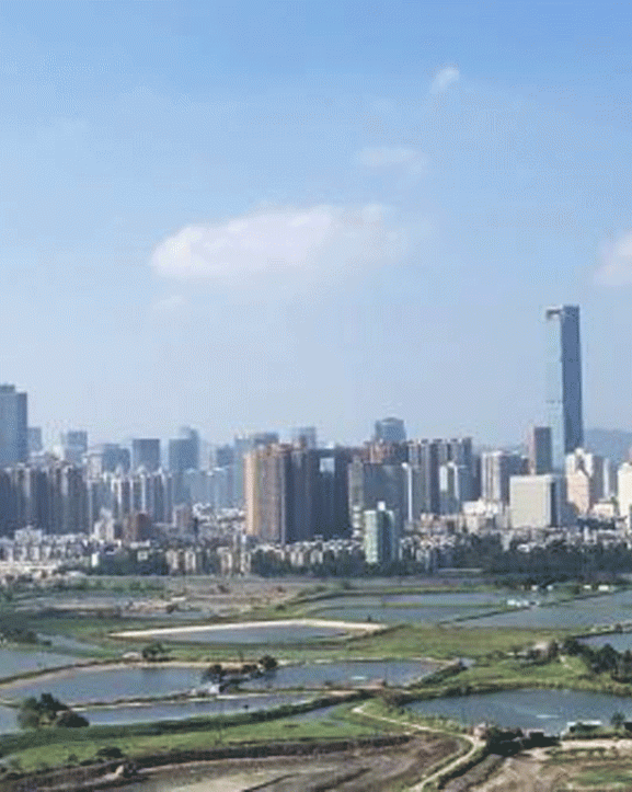 आज विश्व सहरीकरण दिवस मनाइँदै