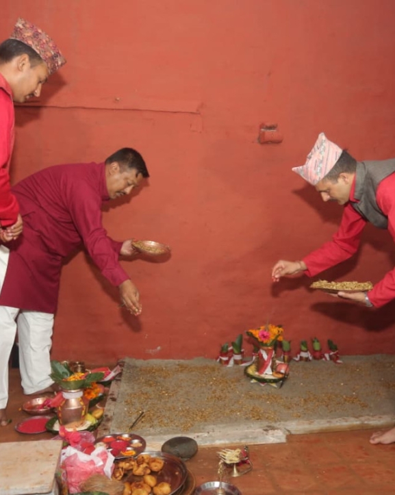 दशैँ घरमा राखियो जमरा 