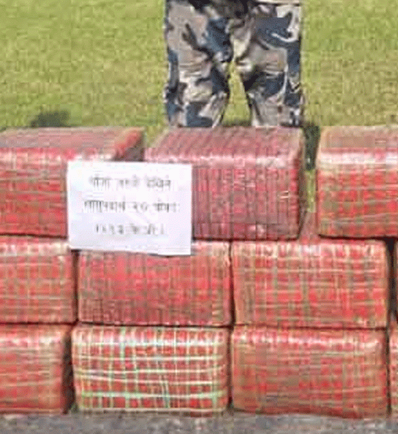 पर्सामा सशस्त्र प्रहरीद्वारा २ सय १३ केजी गाँजा बरामद