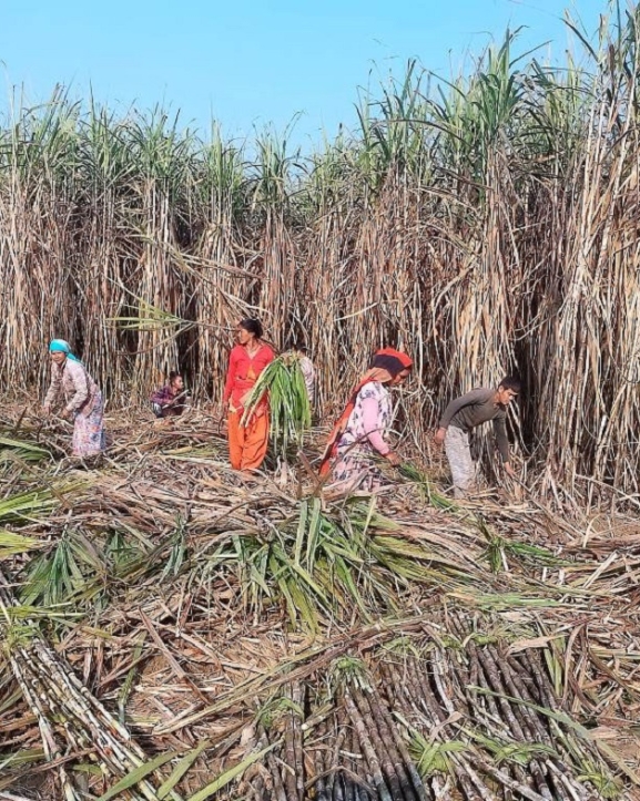 उखु किसान आन्दोलित, अनुदान माग