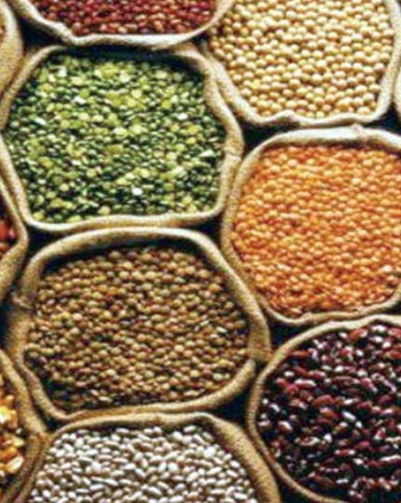 आज ४५औँ विश्व खाद्य दिवस मनाइँदै 