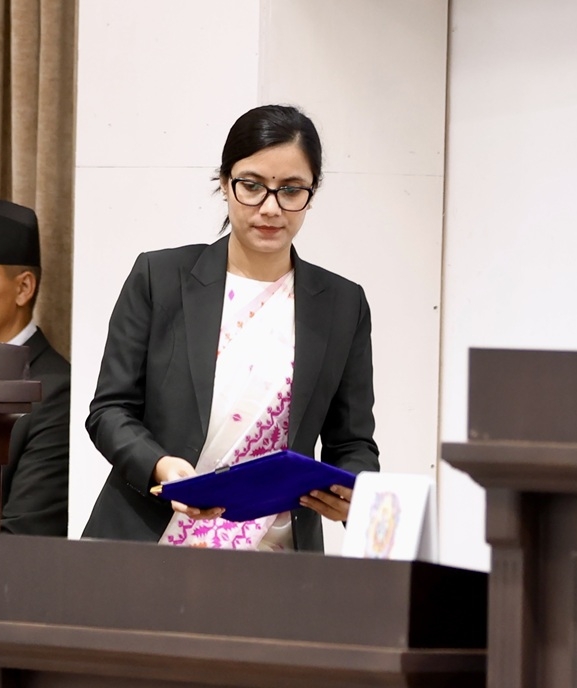 प्रतिनिधिसभाबाट राष्ट्रिय सेवा दल विधेयक पारित