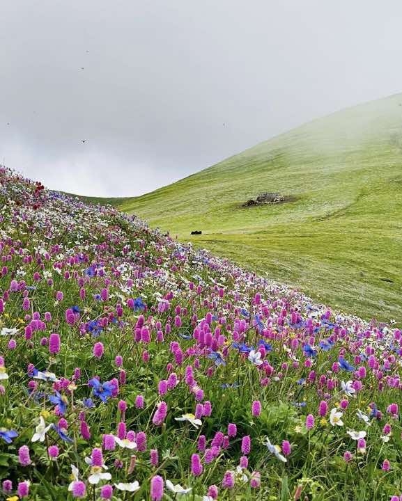 रुकुम पूर्वको चौँरी लेक पर्यटकको रोजाइमा