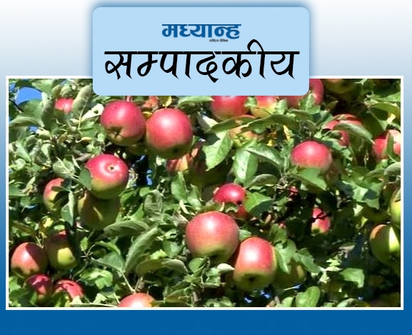 स्याउलाई हिमाली अर्थतन्त्रको मेरुदण्ड बनाऊ