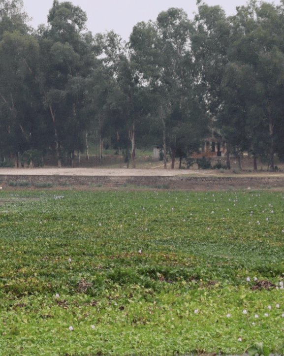 पाँच करोडको लगानीमा बन्धातालमा पूर्वाधार निर्माण गरिँदै