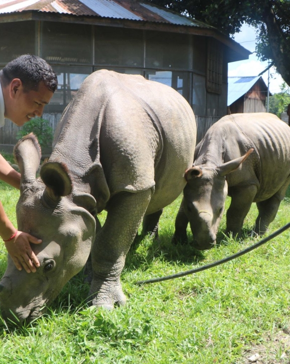 सौराहमा हुर्किंदै छन् ‘राम’ र ‘देव’