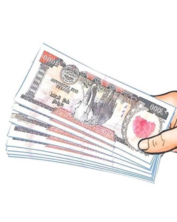 हलगोरु पाल्ने ४६ कृषकलाई जनही सात हजार अनुदान