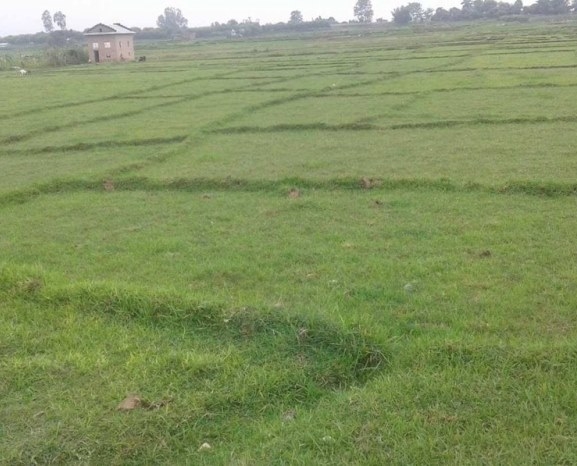 कृषियोग्य जमिन बाँझो राख्न नपाइने