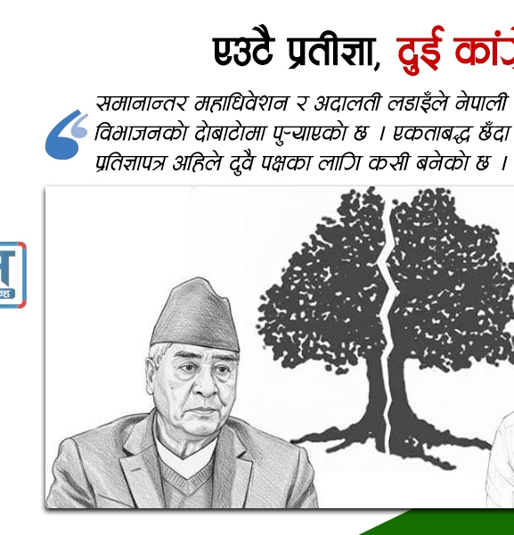 एउटै प्रतिज्ञा, दुई कांग्रेस
