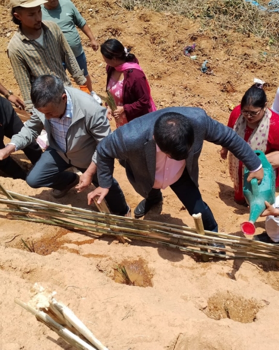 गोदावरीमा जैविक प्रविधिमार्फत पहिरो नियन्त्रण