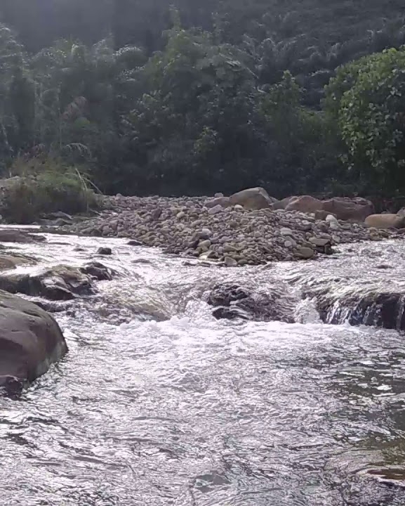 एक सय २५ खानेपानी मुहानमा ‘कोलिफर्म’ फेला