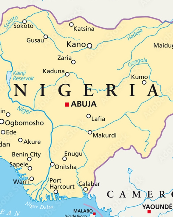 नाइजेरियामा ३ सय १५ शिक्षक र विद्यार्थी अपहरण 