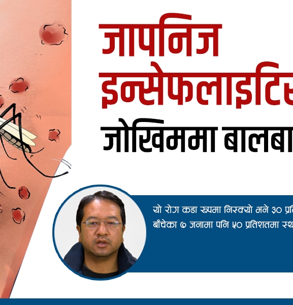 नेपालीलाई तर्साउँदै जापनिज इन्सेफ्लाइटिस : १० दिनमा २० जनामा संक्रमण पुष्टि, जोखिममा बालबालिका