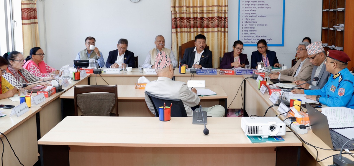 भयावह बन्दै सवारी दुर्घटना, दैनिक १० जनाले गुमाउँछन् ज्यान
