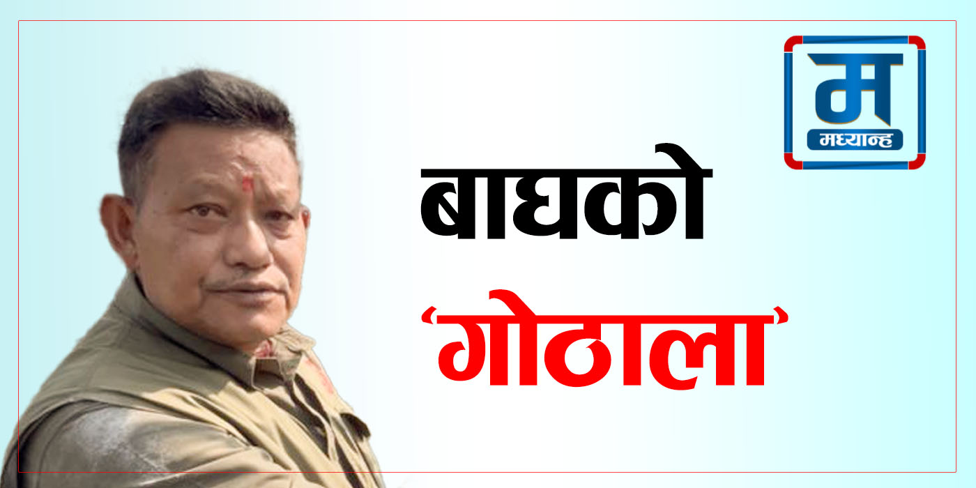 बाघका ‘गोठाला’  