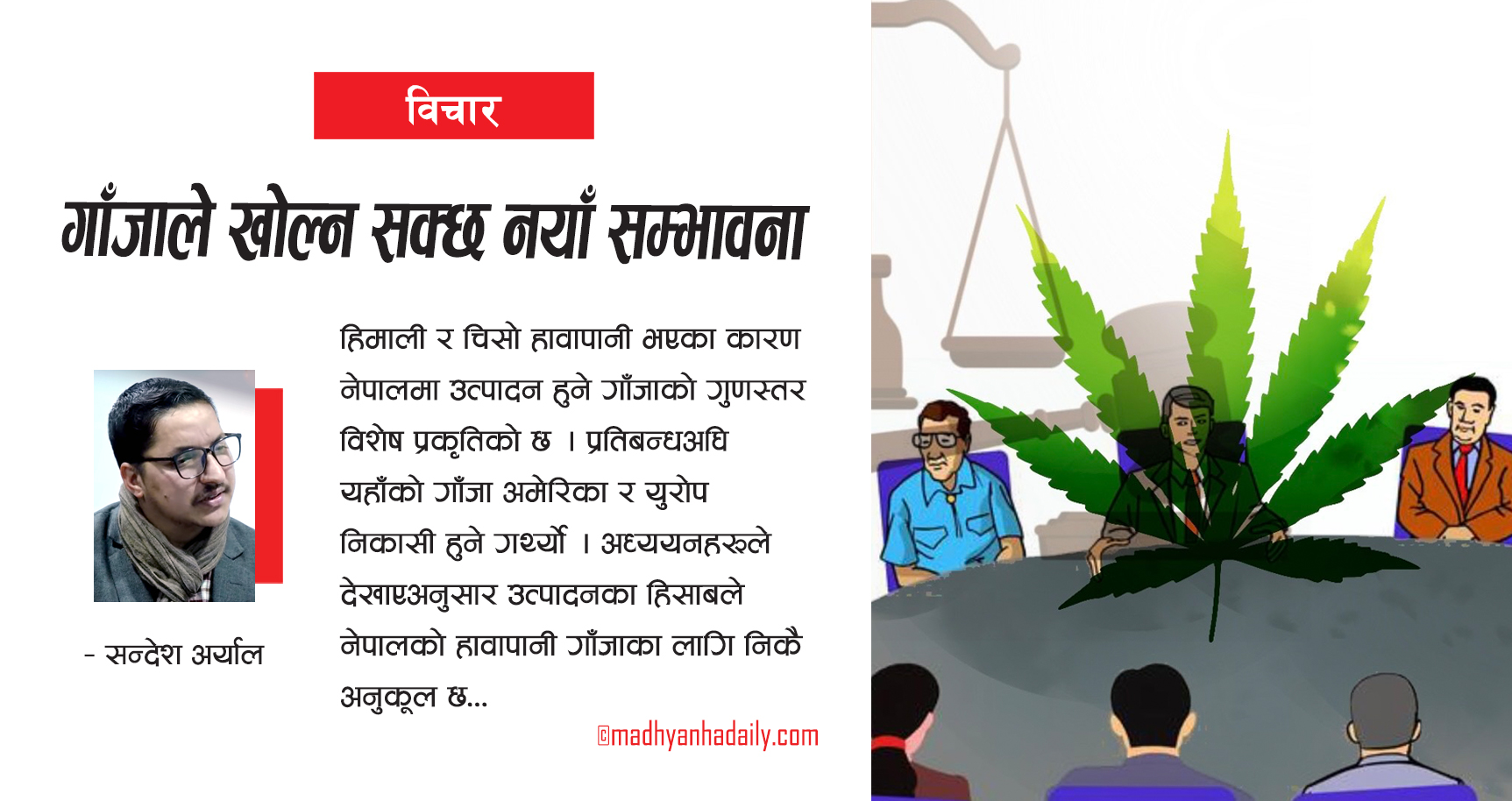 गाँजाले खोल्न सक्छ नयाँ सम्भावना