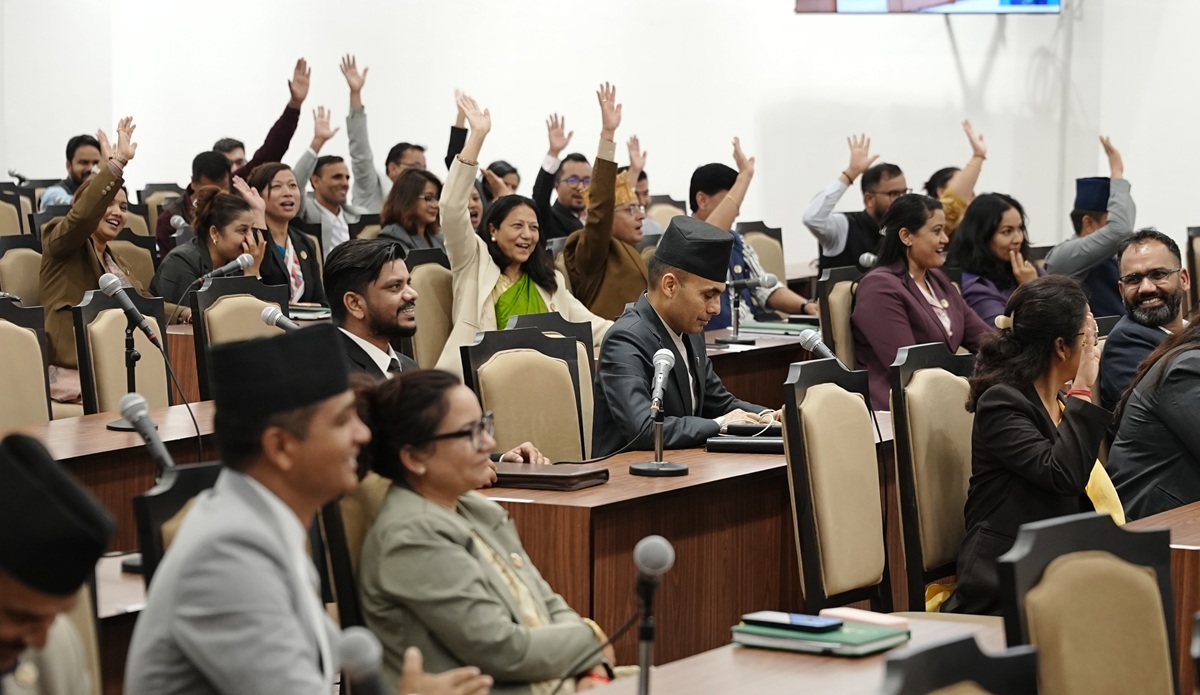 प्रतिनिधिसभाबाट आगामी आर्थिक वर्षको बजेट पारित