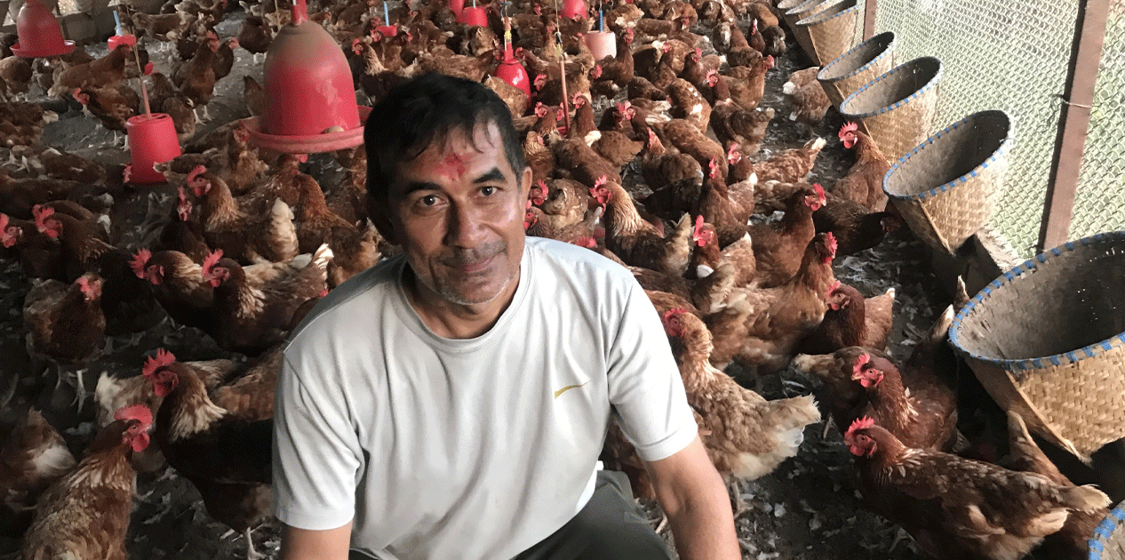 कुखुरा पालनबाट मासिक एक लाख आम्दानी