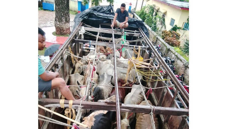 १८ गोरुसहित ट्रक नियन्त्रणमा, चालक पक्राउ