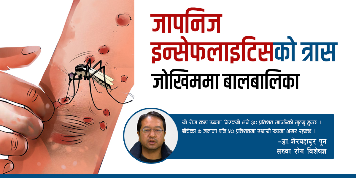 नेपालीलाई तर्साउँदै जापनिज इन्सेफ्लाइटिस : १० दिनमा २० जनामा संक्रमण पुष्टि, जोखिममा बालबालिका