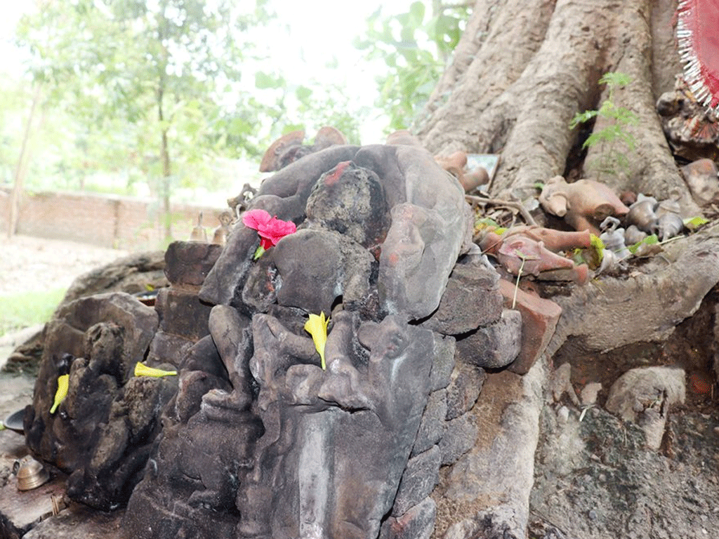 ओझेलमा बुद्धको मावली, मर्चवार नै ऐतिहासिक ‘देवदह’