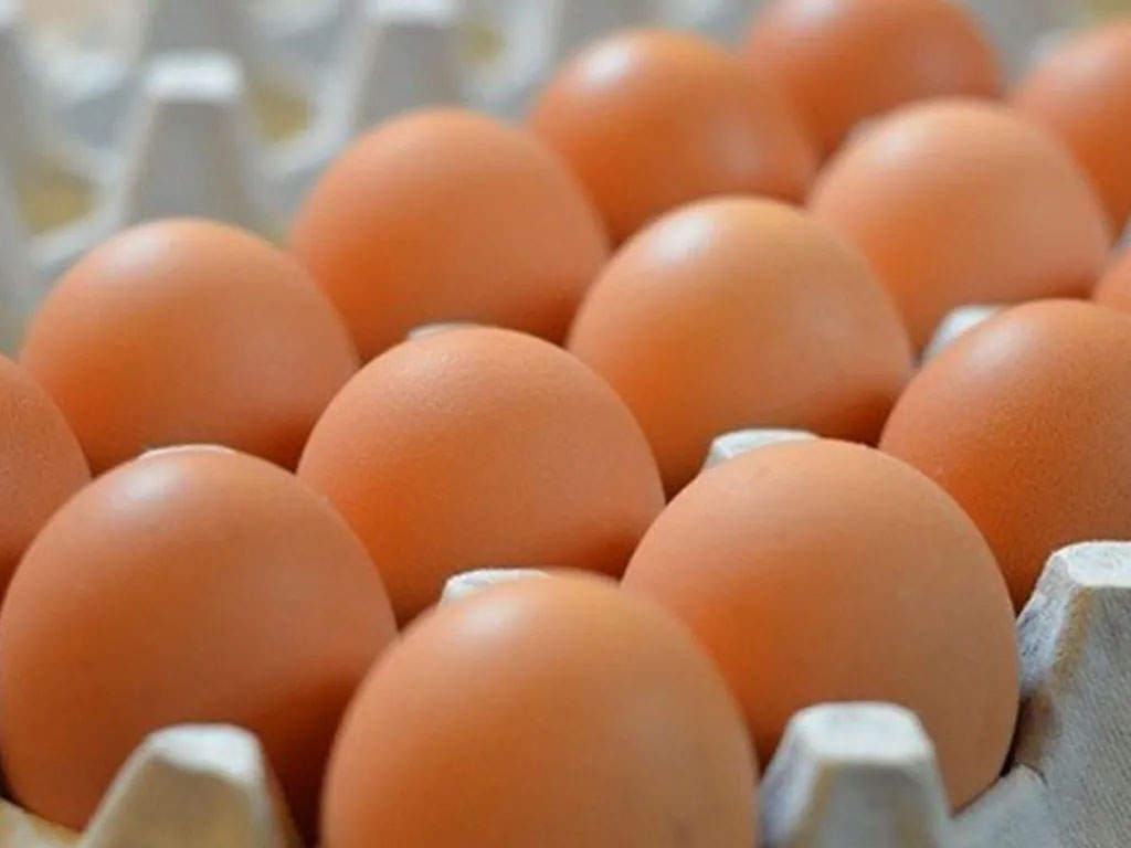 व्यवसायीले बल्ल पाए ‘अण्डा’ को लागत मूल्य, रोकियो अवैध