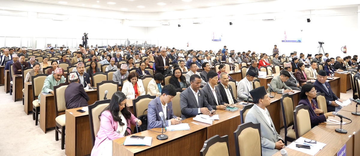 सरकारमाथि संसद्को डिजिटल लगाम