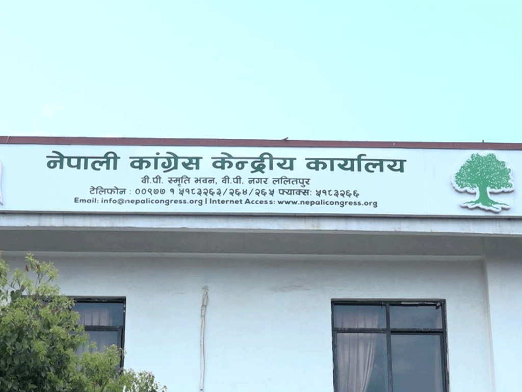 ४० वर्षमुनिका युवाले थाले कांग्रेस सुधार अभियान