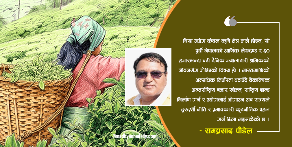 संकटमा नेपाली चिया उद्योग