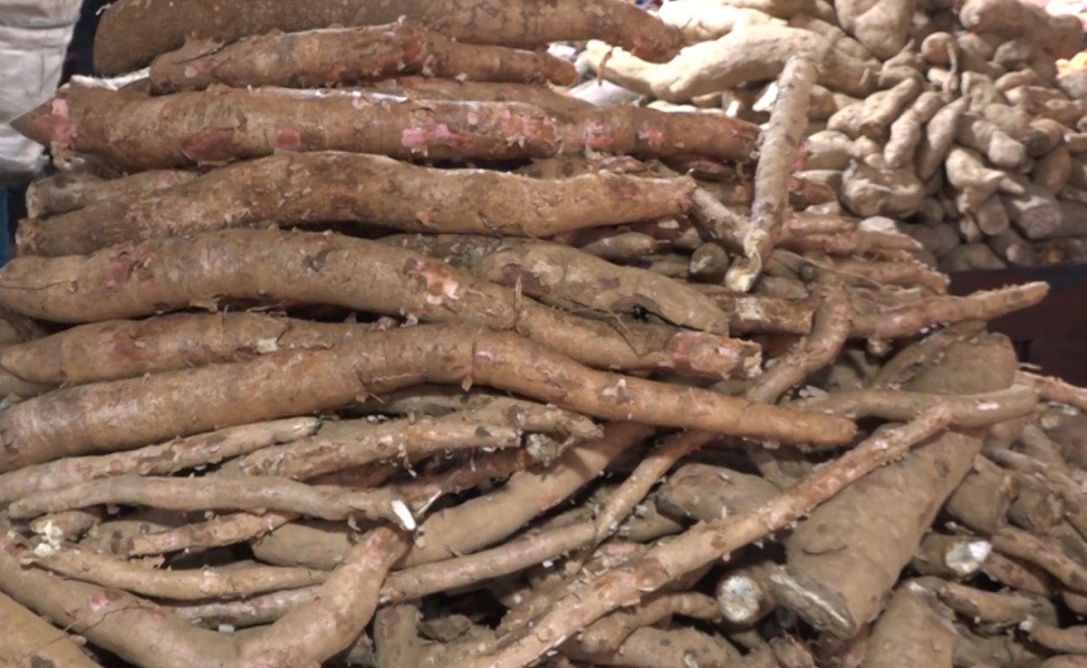 माघे संक्रान्ति नजिकिएसँगै तरुलको बिक्री बढ्दै