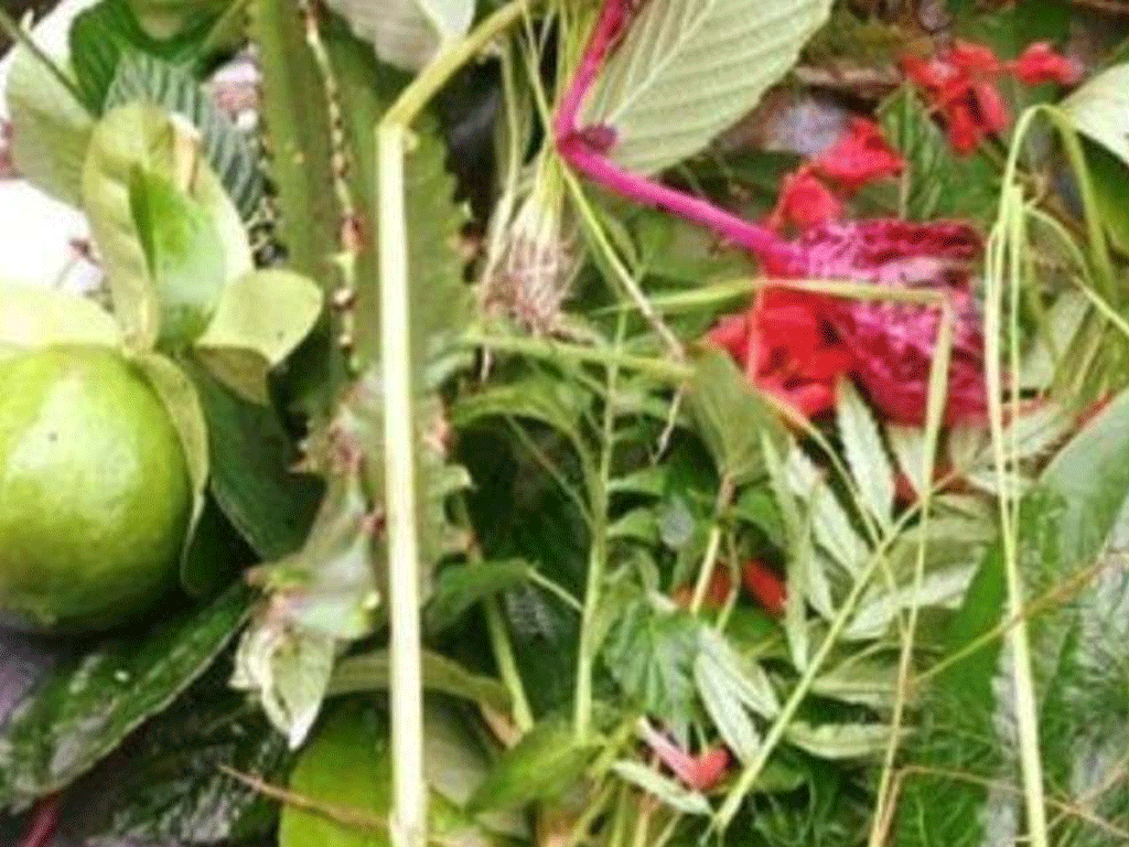 आज साउने सङ्क्रान्ति: लुतो फाल्ने दिन