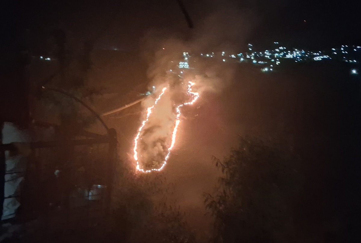 वन डढेलोले ५ वर्षमा अर्बनजिकको क्षति, साढे ६ सय परिवार प्रभावित