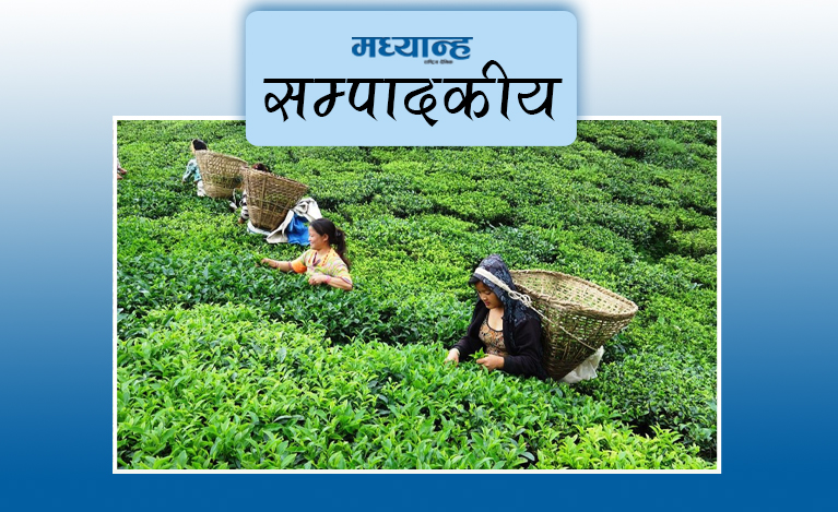चियामै सरकारको परीक्षा