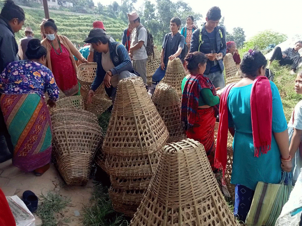 डोका बिक्रीबाट मासिक ४० हजार आम्दानी