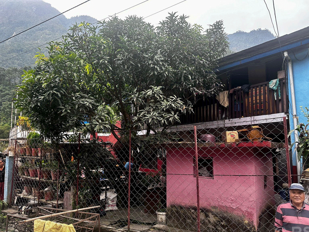 तारा खेतमा थकाली ‘होमस्टे’