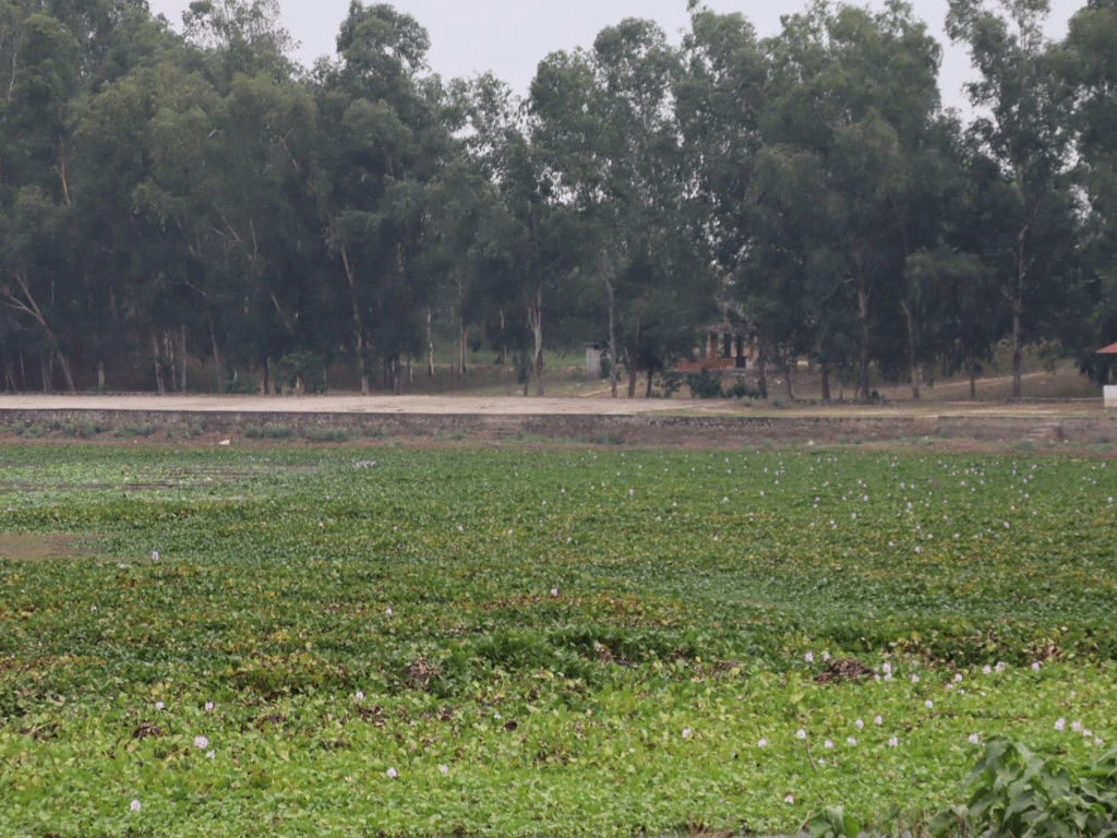 पाँच करोडको लगानीमा बन्धातालमा पूर्वाधार निर्माण गरिँदै