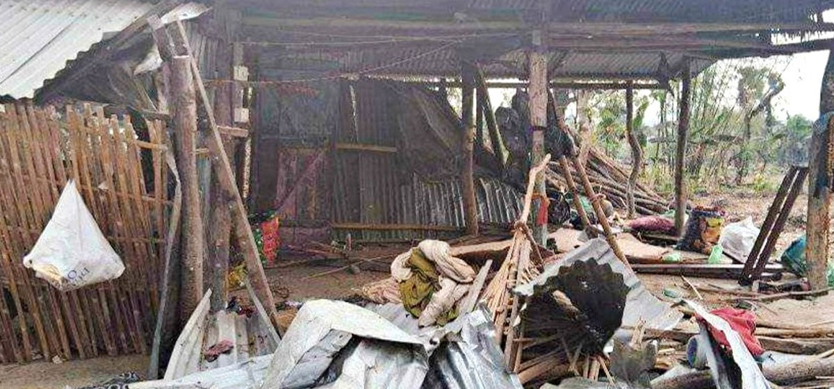 उदयपुरमा जंगली हात्ती गाउँ पस्दा १२ घरधुरीमा क्षति