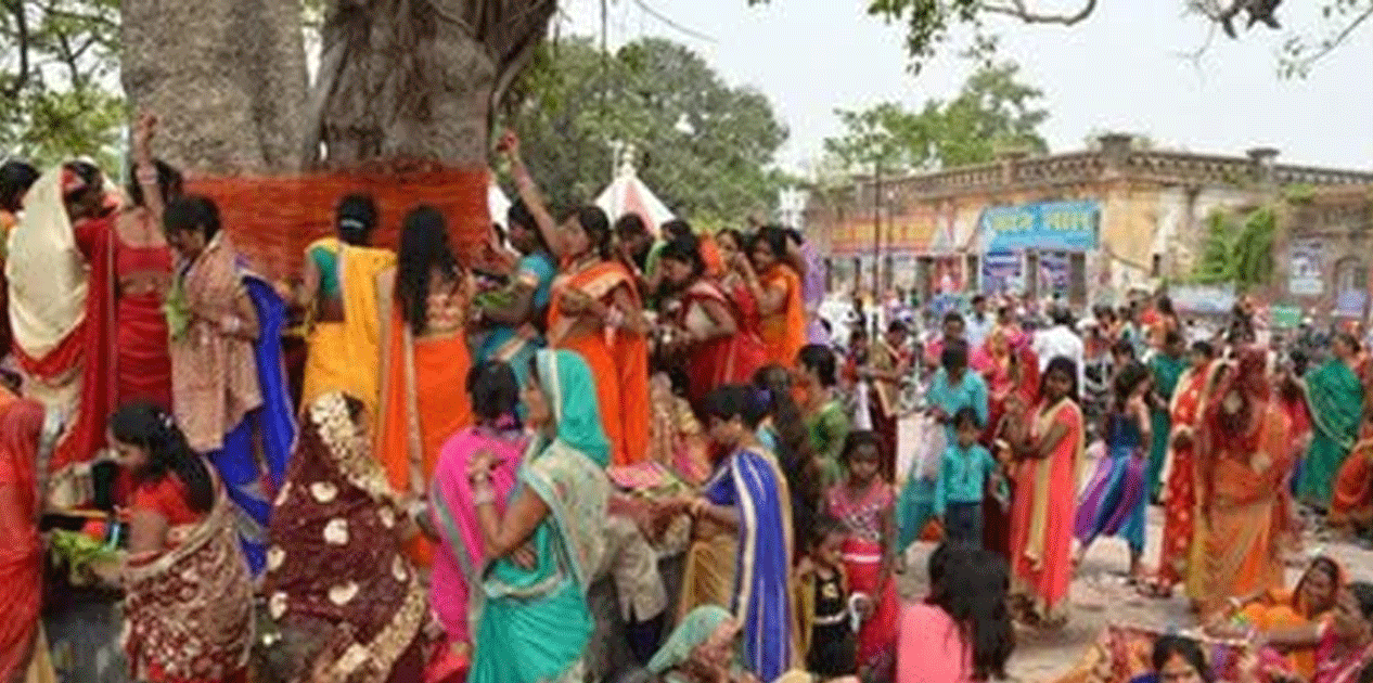 मिथिलामा आज कुष्माण्ड नवमी पर्व मनाइँदै