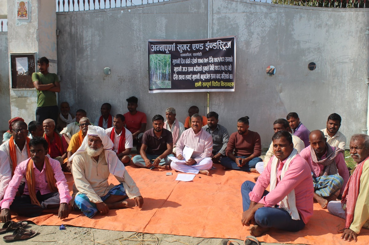 बक्यौता रकम माग गर्दै उखु किसान धर्नामा