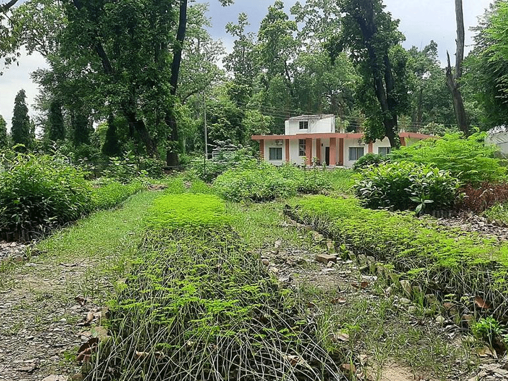 जडीबुटीका बिरुवासँगै तालिम दिँदै वनस्पति अनुसन्धान केन्द्र